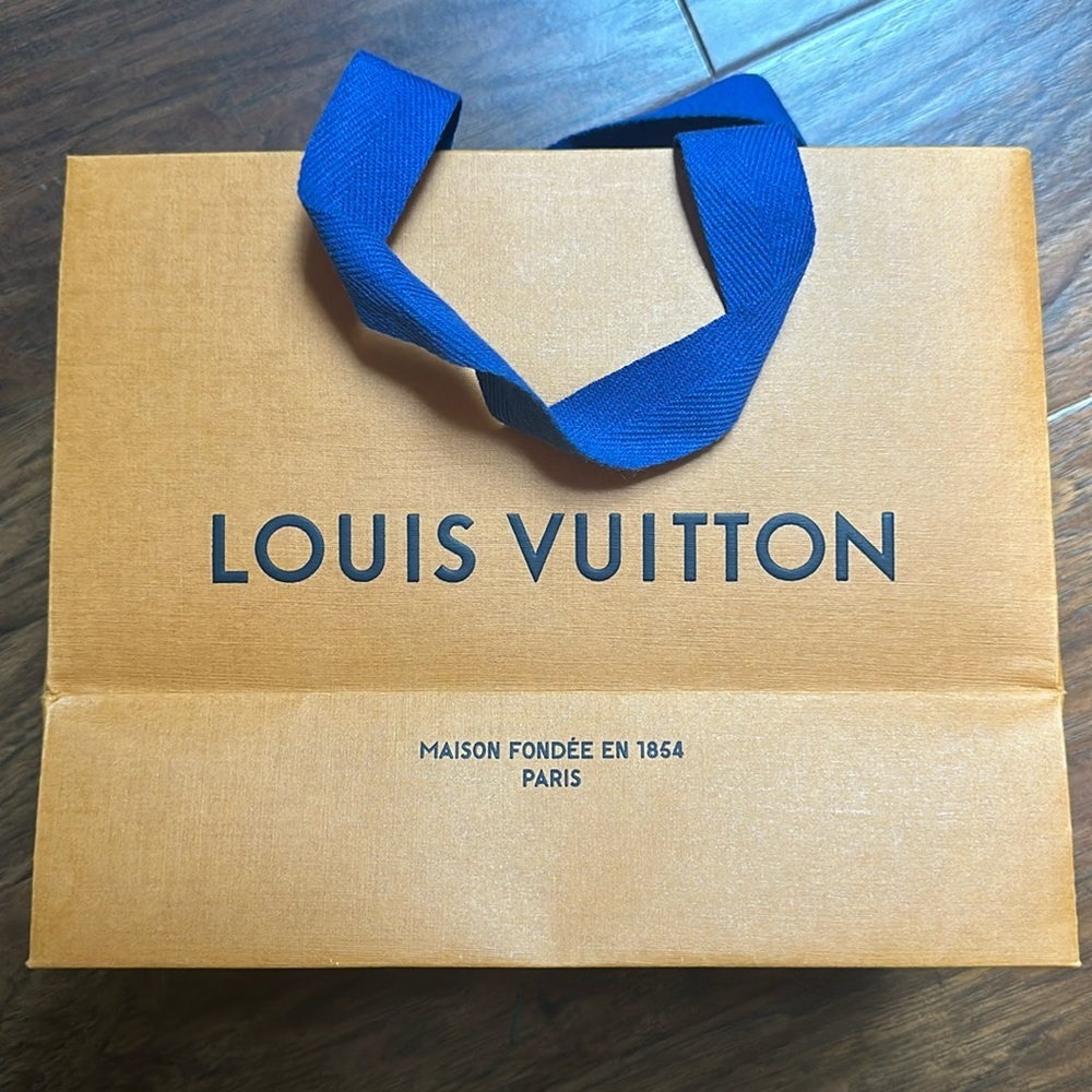 LV Louis Vuitton shopping bag